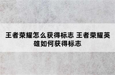 王者荣耀怎么获得标志 王者荣耀英雄如何获得标志